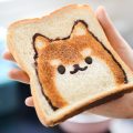 Shiba-sur-un-toast