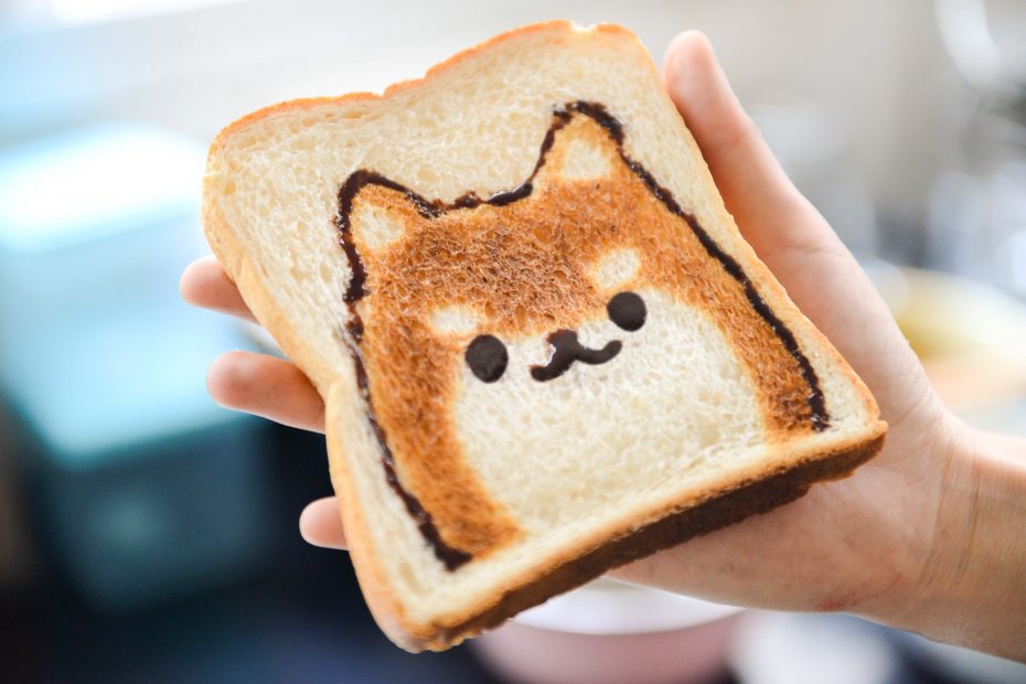 Shiba-sur-un-toast